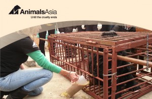 Animals Asia - Until the Cruelty Ends