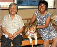 Djurterapi i AAF:s Dr Dog-program i Kina